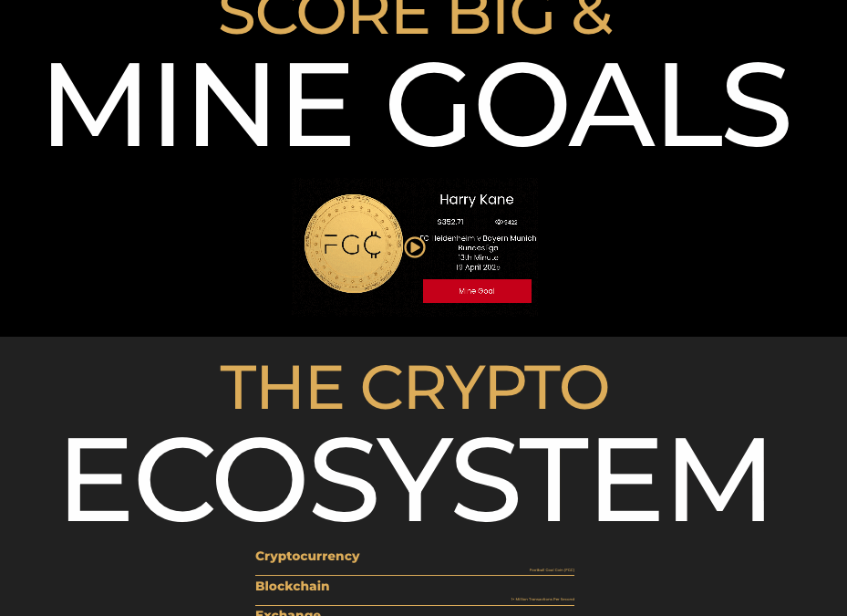 Football Goal Coin website